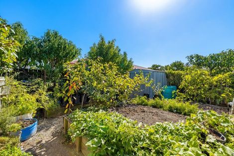 Photo of property in 6 Natalie Place, Witherlea, Blenheim, 7201