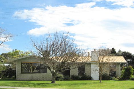 Photo of property in 55 Ferry Road, Clive, 4102