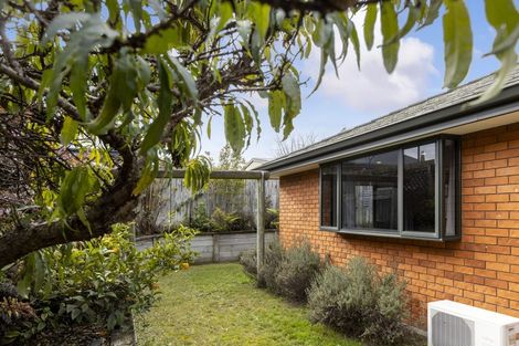 Photo of property in 65a Kowhai Drive, Renwick, 7204