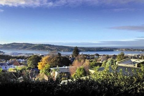 Photo of property in 15 Garfield Avenue, Roslyn, Dunedin, 9010