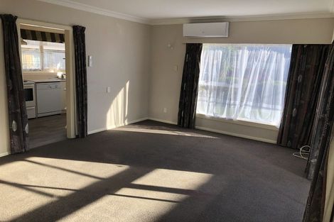 Photo of property in 50a Fifth Avenue, Enderley, Hamilton, 3214