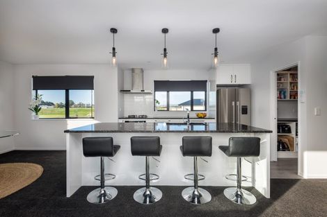 Photo of property in 89 Zabeel Street, Lincoln, 7608