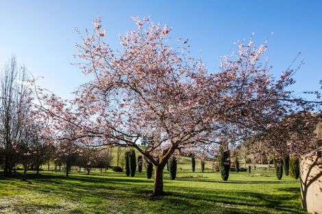 Photo of property in 599 Mount Barker Road, Wanaka, 9382