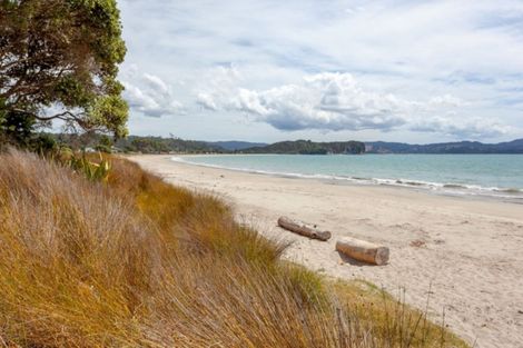 Photo of property in 113 Captain Cook Road, Cooks Beach, Whitianga, 3591