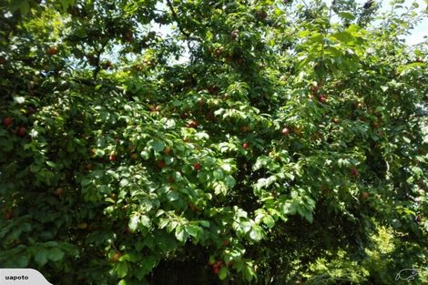 Photo of property in 18 Coleman Place, Darfield, 7510