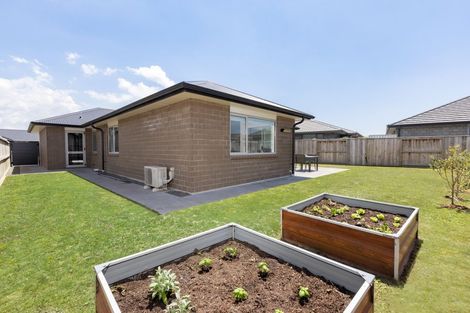 Photo of property in 41 Kahuparere Crescent, Pyes Pa, Tauranga, 3112