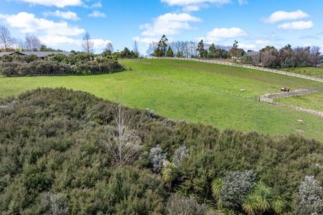 Photo of property in 51 Clayden Road, Warkworth, 0985