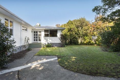 Photo of property in 19 Wilson Street, Bulls, 4818