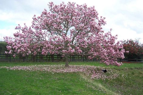 Photo of property in 104b Duncan Road, Tamahere, Hamilton, 3283