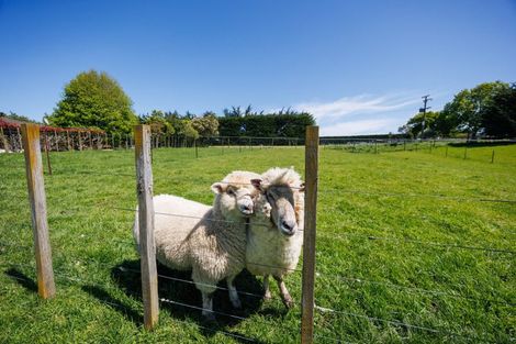 Photo of property in 76 Watershed Road, Bunnythorpe, Palmerston North, 4470