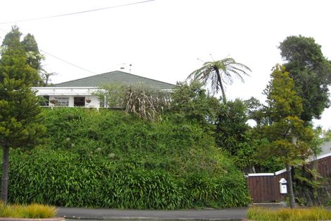 Photo of property in 116 Liardet Street, New Plymouth, 4310