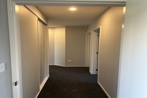 Photo of property in 8 Grimwood Street, Woodend, 7610