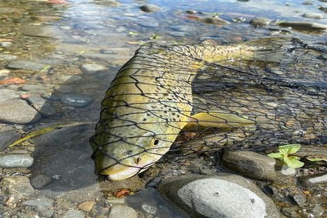 Photo of property in 46 Zig Zag Road, Windwhistle, Rakaia, 7782