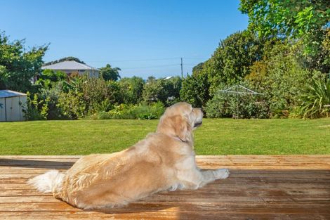 Photo of property in 27 Douglas Street, Okitu, Gisborne, 4010