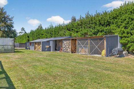 Photo of property in 509 Downs Road, Eyrewell, Rangiora, 7476