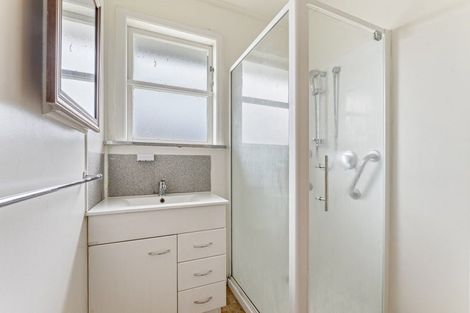 Photo of property in 20 Winchester Street, Levin, 5510