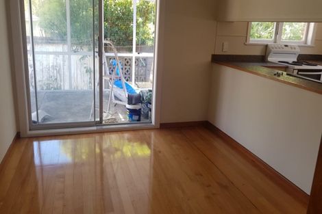 Photo of property in 28 Camellia Place, Mount Roskill, Auckland, 1041