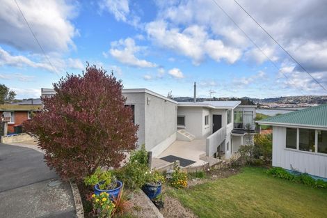 Photo of property in 36 Heath Street, Andersons Bay, Dunedin, 9013