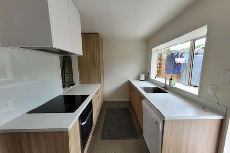 Photo of property in 30a Sackville Street, Fitzroy, New Plymouth, 4312