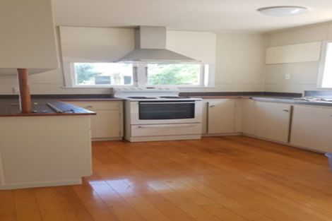 Photo of property in 28 Camellia Place, Mount Roskill, Auckland, 1041