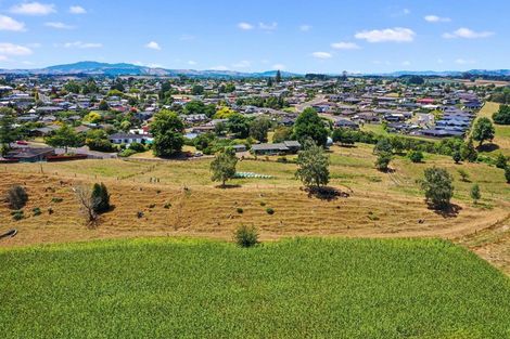 Photo of property in 540 Wallace Terrace, Te Awamutu, 3800