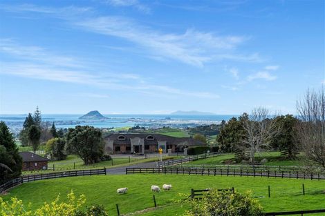 Photo of property in 4 Adrine Lane, Ohauiti, Tauranga, 3173