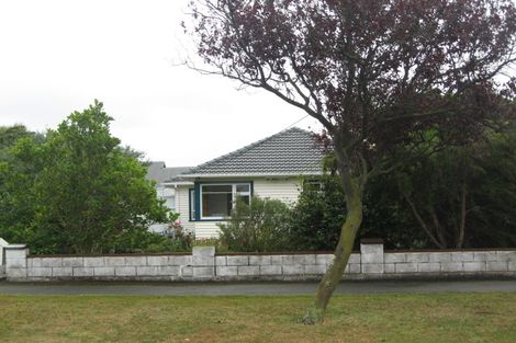 Photo of property in 57 Birchfield Avenue, Dallington, Christchurch, 8061