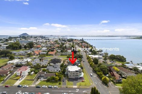 Photo of property in 4/15 Sixth Avenue, Tauranga, 3110