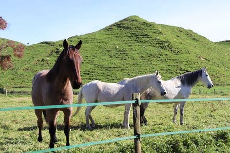 Photo of property in 1098 Makuri Road, Huiroa, Stratford, 4392