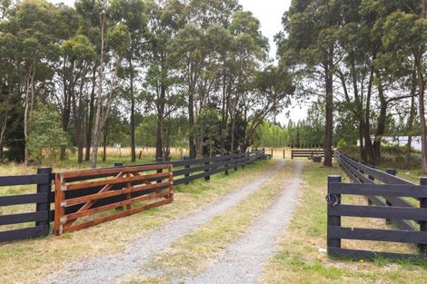Photo of property in 244 Main Race Road, Eyrewell, Rangiora, 7476