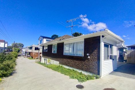 Photo of property in 40a Ferndale Road, Mount Wellington, Auckland, 1060