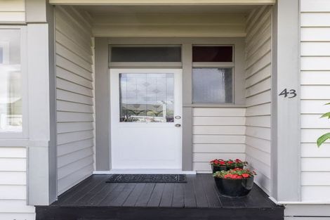 Photo of property in 43 Knowles Street, Terrace End, Palmerston North, 4410