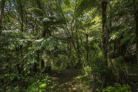 Photo of property in 185 Kaimarama Road, Kaimarama, Whitianga, 3591