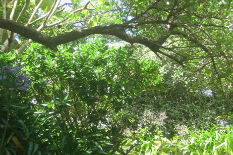 Photo of property in 47 Fairview Crescent, Kelburn, Wellington, 6012