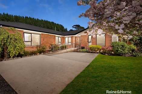 Photo of property in 181c Willow Park Drive, Opaki, Masterton, 5871