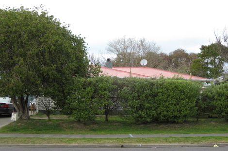 Photo of property in 81 Bill Hercock Street, Pirimai, Napier, 4112