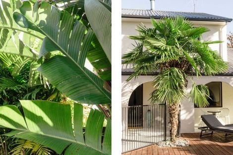 Photo of property in 175 Cameron Road, Te Puke, 3119