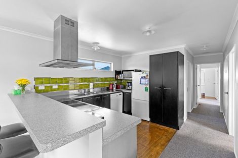 Photo of property in 33 Lower High Street, Marton, 4710