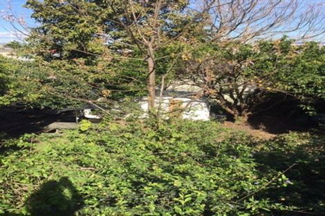 Photo of property in 23 Bain Street, Mount Maunganui, 3116