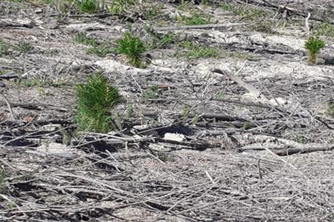 Photo of property in 744 Waiwhero Road, Ngatimoti, Motueka, 7196