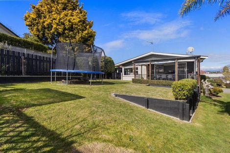 Photo of property in 376 Douglas Avenue, Te Awamutu, 3800