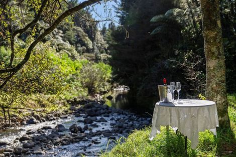 Photo of property in 202 Thompsons Track, Aongatete, 3178