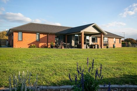 Photo of property in 43 Seachange Drive, Leamington, Cambridge, 3432