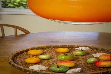 Photo of property in 4/27 Sanders Avenue, Takapuna, Auckland, 0622