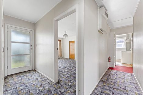 Photo of property in 20 Winchester Street, Levin, 5510