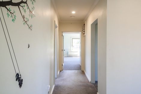 Photo of property in 6 Marne Street, Andersons Bay, Dunedin, 9013