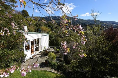 Photo of property in 61 Braeview Crescent, Maori Hill, Dunedin, 9010