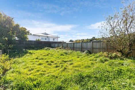 Photo of property in 16 Duppa Street, Berhampore, Wellington, 6023