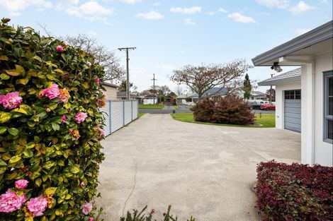 Photo of property in 31 Alpha Street, Cambridge, 3434