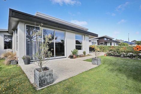 Photo of property in 67 Newcastle Street, Windsor, Invercargill, 9810